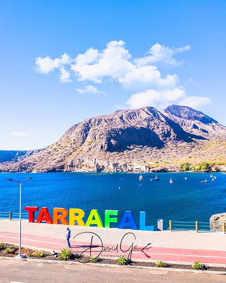 À l'ombre des palmiers